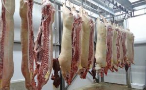 Rêver d'abattoir.
