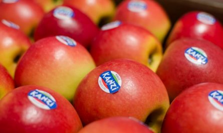 Rêver d'acheter des pommes.