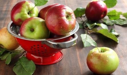 Rêver de ramasser des pommes.
