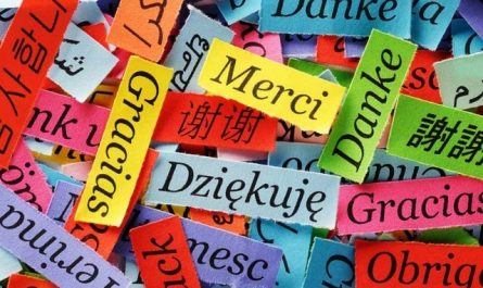 Rêver de gratitude.