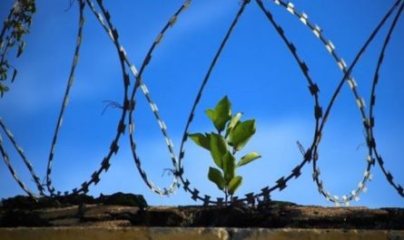 rêver de sortir de prison