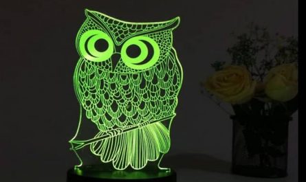 Rêver de hibou vert