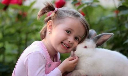 Rêver de jouer avec un lapin