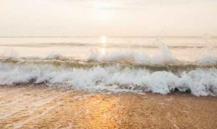 Pourquoi rêver d'une vague blanche ?