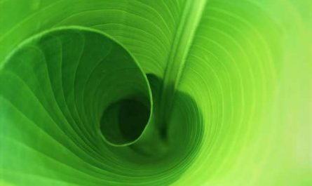 Pourquoi rêver de vert ?
