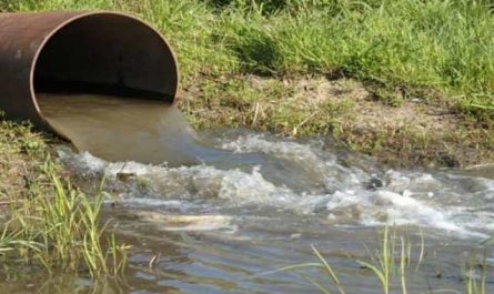 Pourquoi rêver d'une rivière d'égout ?