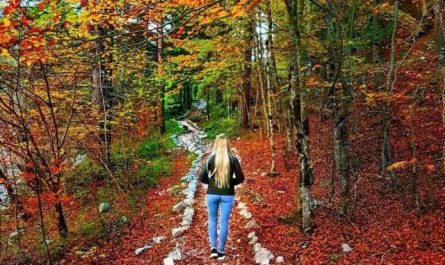 Pourquoi rêver de se promener dans un parc ?