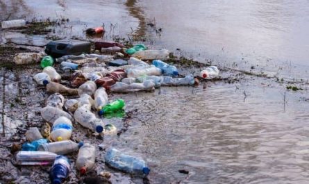 Pourquoi rêver d'une mer pleine d'ordures ?