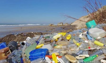 Pourquoi rêver de mer polluée ?