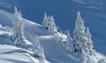 Pourquoi rêver de neige ?