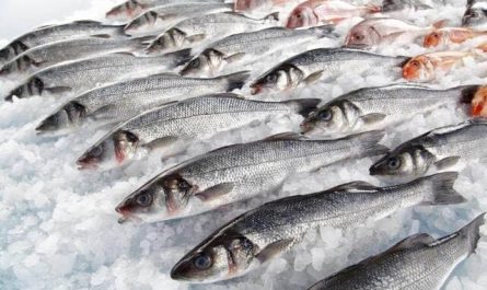 Pourquoi rêver de poisson frais ?