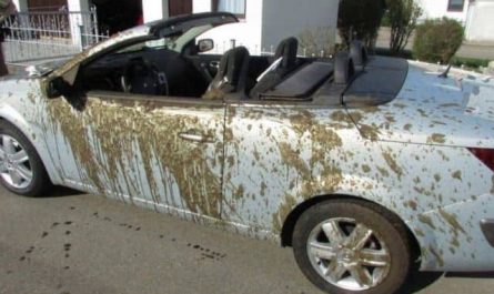 Pourquoi rêver d'excréments tombant du ciel ?
