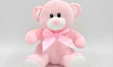 Pourquoi rêver d'ours en peluche rose ?