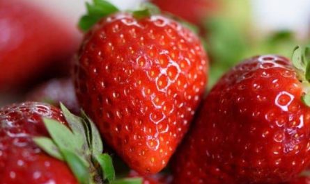 Pourquoi rêver de fraises ?