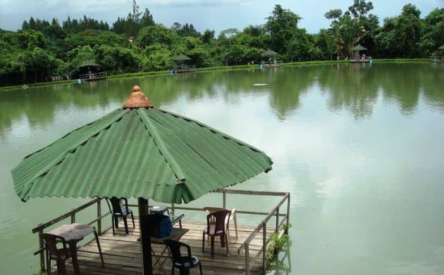 Pourquoi rêver de lac vert ?