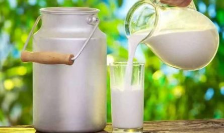 Pourquoi rêver de lait de vache ?