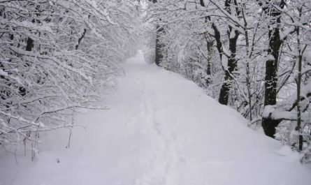 Pourquoi rêver de neige blanche ?