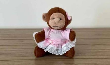 Pourquoi rêver de singe en peluche ?