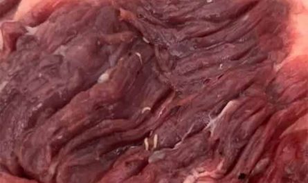 Pourquoi rêver de viande crue avec des vers ?