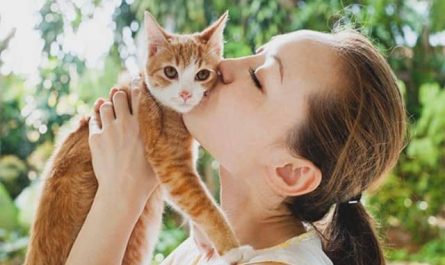 Pourquoi rêver d'embrasser son chat ?
