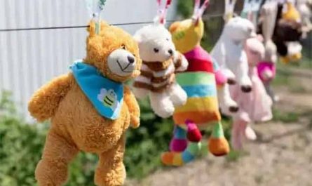 Pourquoi rêver d'une animal en peluche ?
