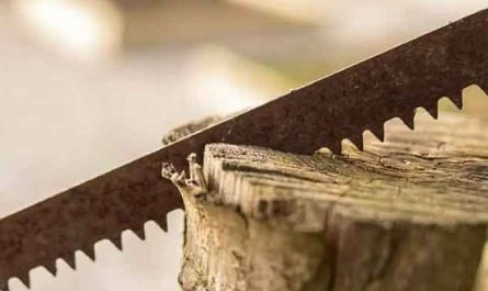 Pourquoi rêver de couper du bois ?