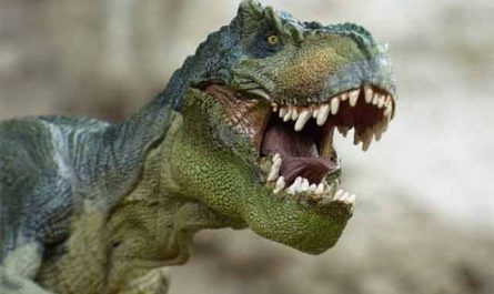 Pourquoi rêver de dinosaure ?
