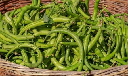 Pourquoi rêver de haricots verts ?