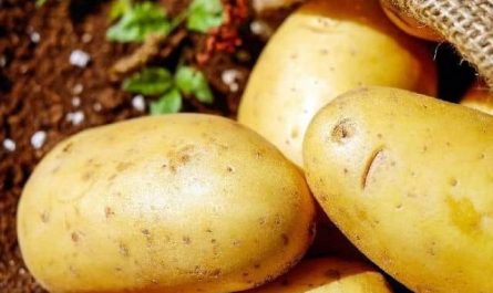 Pourquoi rêver de pommes de terre ?
