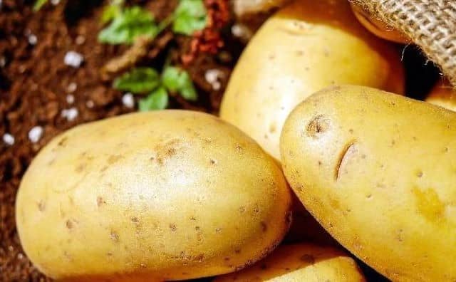 Pourquoi rêver de pommes de terre ?