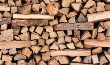 Pourquoi rêver de tas de bois ?