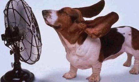 Pourquoi rêver de ventilateur ?