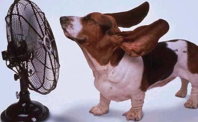 Pourquoi rêver de ventilateur ?
