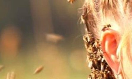 Pourquoi rêver d'abeille dans les cheveux ?