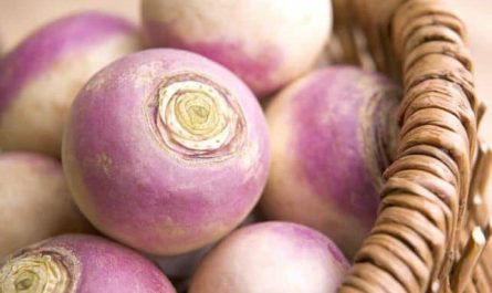 Pourquoi rêver d'acheter des navets ?