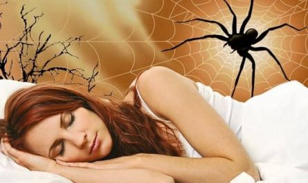 Pourquoi rêver d'araignée qui sort du nez ?