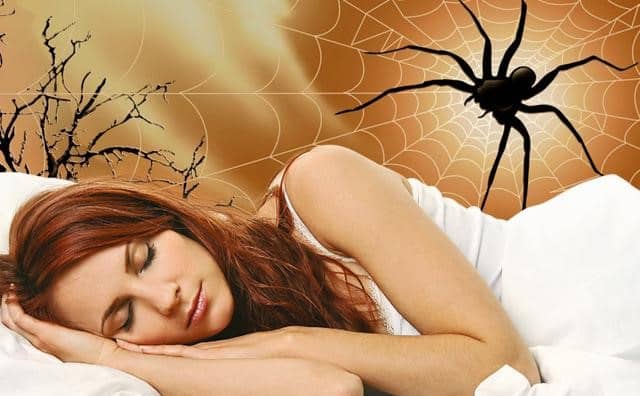 Pourquoi rêver d'araignée qui sort du nez ?