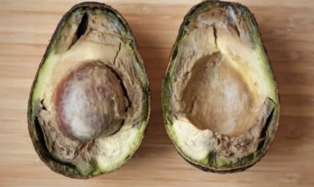 Pourquoi rêver d'avocat pourri ?