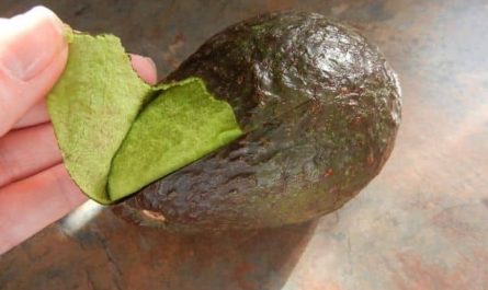 Pourquoi rêver d'avocats pelés ?