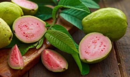 Pourquoi rêver de goyave ?