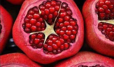 Pourquoi rêver de grenade fruit ?