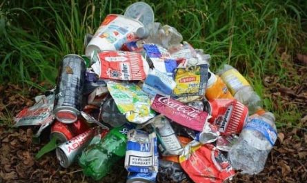 Pourquoi rêver d'immondices ?