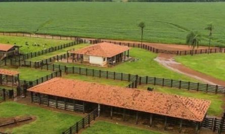 Pourquoi rêver de ferme ?