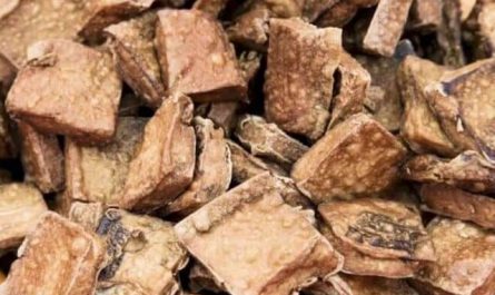 Pourquoi rêver de viande puante ?