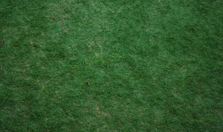 Pourquoi rêver d'herbe coupée ?