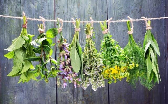 Rêver d’herbes aromatiques