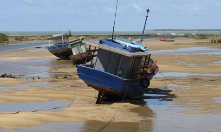 Pourquoi rêver de marée basse ?