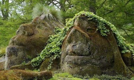 Pourquoi rêver d'un lieu enchanté ?