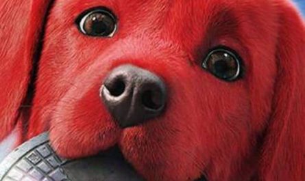 Pourquoi rêver de chiot rouge ?