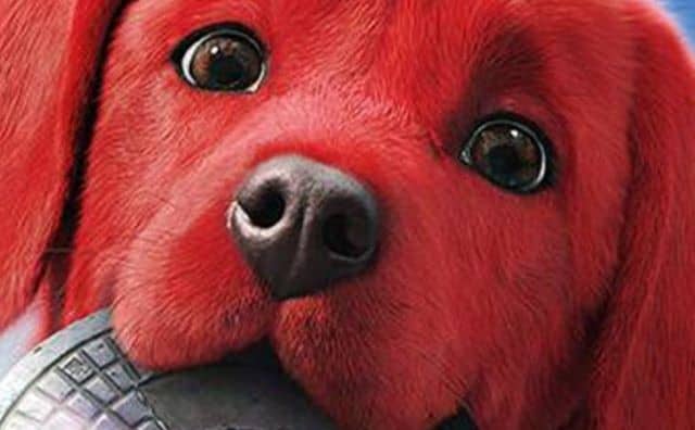 Rêver d’un chiot rouge